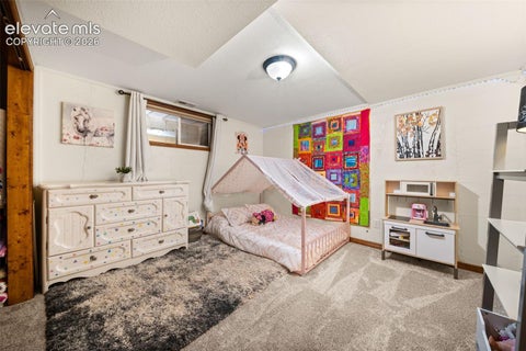 Tiny photo for 1933 County Road 782, Woodland Park, CO 80863 (MLS # 5899094)