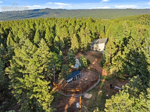 Tiny photo for 1933 County Road 782, Woodland Park, CO 80863 (MLS # 5899094)