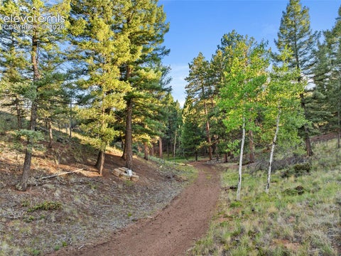 Tiny photo for 1933 County Road 782, Woodland Park, CO 80863 (MLS # 5899094)