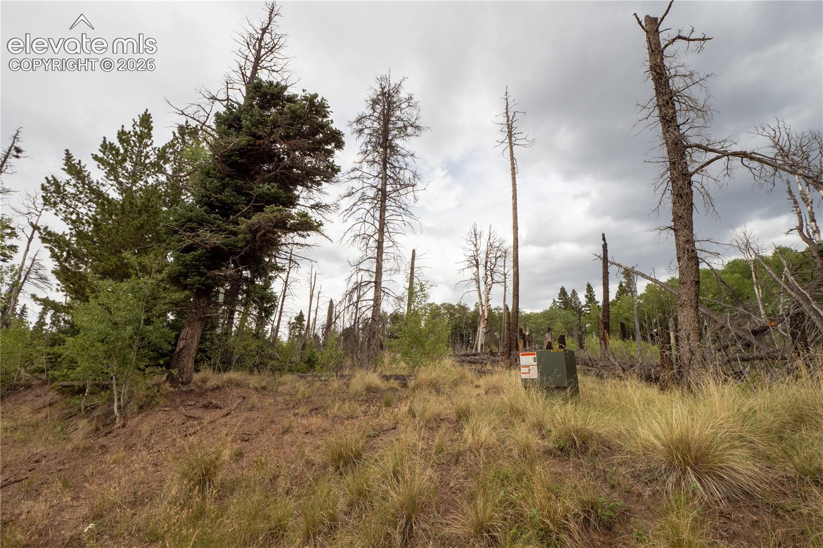 Lot 2571 Andes Loop