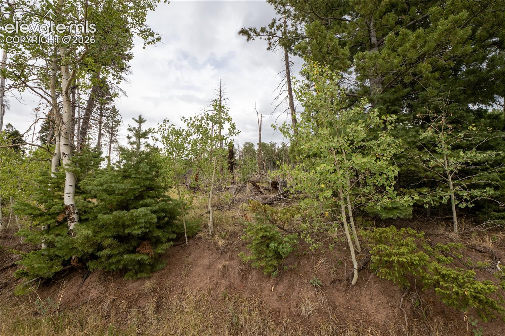 Lot 2571 Andes Loop