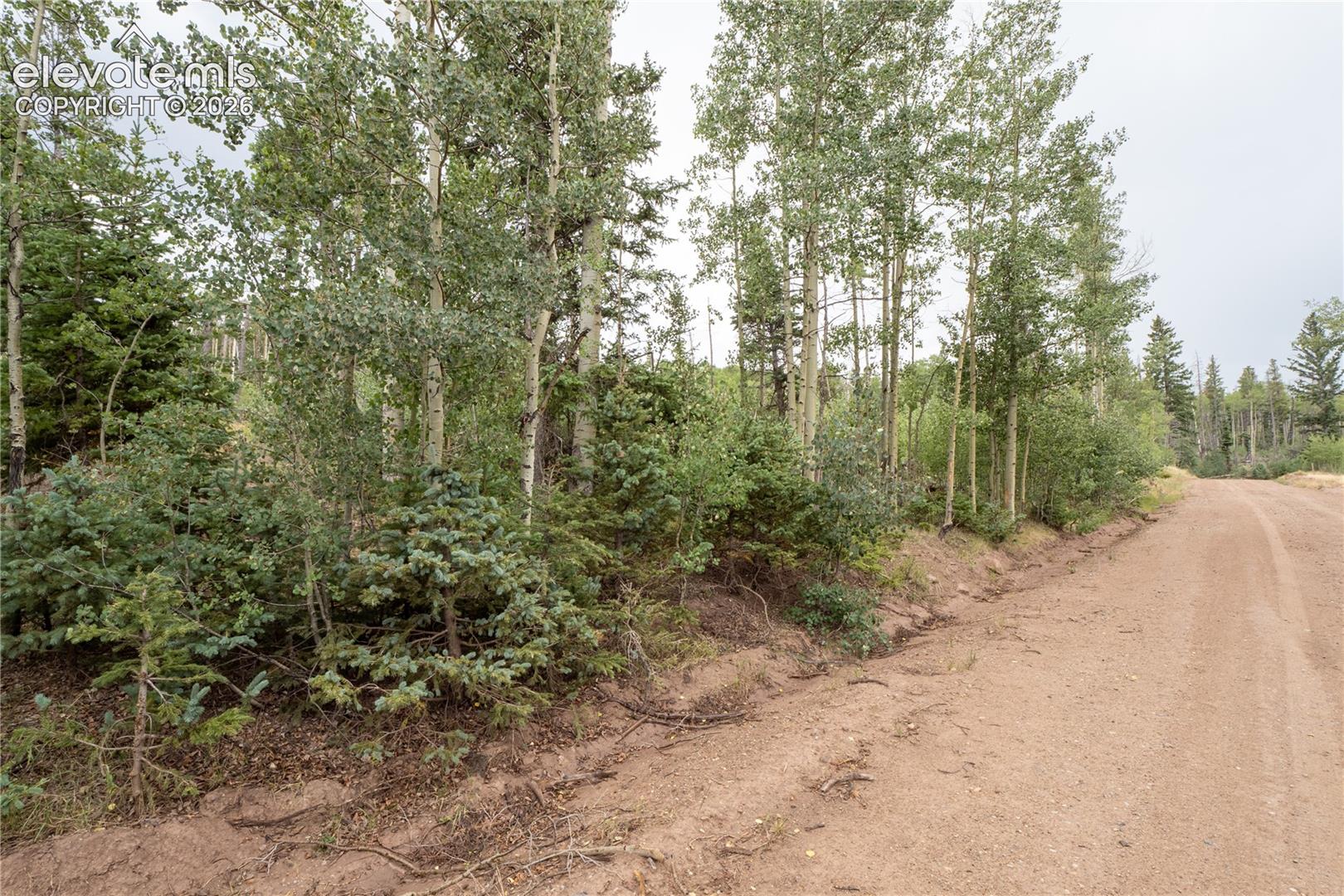 Lot 2571 Andes Loop