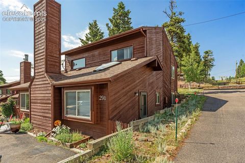Photo of 291 E Lake Avenue, Woodland Park, CO 80863 (MLS # 4799750)