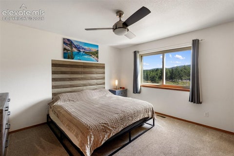 Tiny photo for 290 Taopi Circle, Woodland Park, CO 80863 (MLS # 6733484)