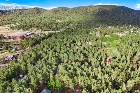Tiny photo for 167 E Kelleys Road, Woodland Park, CO 80863 (MLS # 3069334)