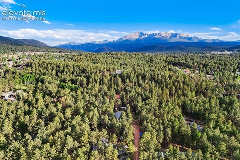 Tiny photo for 167 E Kelleys Road, Woodland Park, CO 80863 (MLS # 3069334)