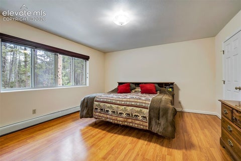 Tiny photo for 167 E Kelleys Road, Woodland Park, CO 80863 (MLS # 3069334)