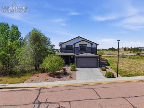 Photo of 7838 Twin Creek Terrace, Fountain, CO 80817 (MLS # 7489769)