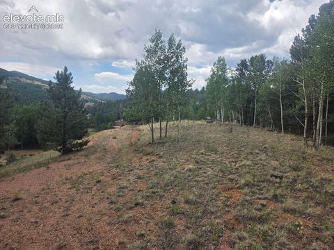Photo of 1124 Yorktown Road, Cripple Creek, CO 80813 (MLS # 3395691)