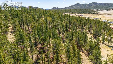 Photo of 56 Dallas Park Circle, Florissant, CO 80816 (MLS # 4494581)