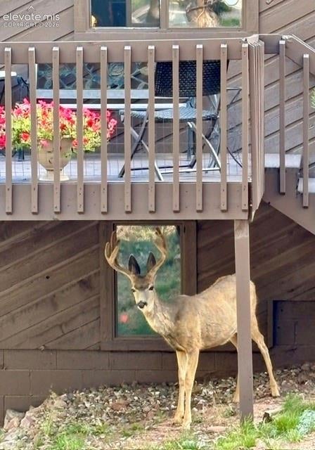 Tiny photo for 540 Greenway Court, Woodland Park, CO 80863 (MLS # 8331586)