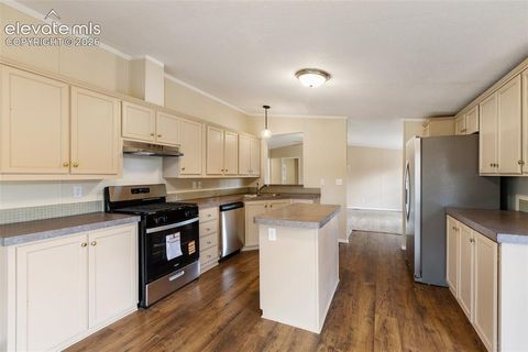 Tiny photo for 100 Wolverine Drive, Florissant, CO 80816 (MLS # 7634996)