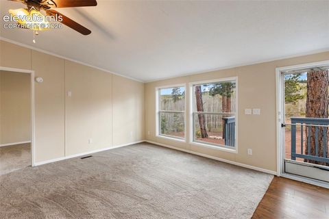 Tiny photo for 100 Wolverine Drive, Florissant, CO 80816 (MLS # 7634996)