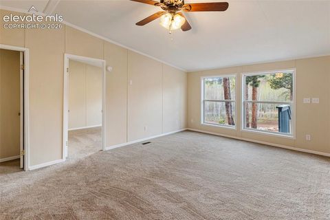 Tiny photo for 100 Wolverine Drive, Florissant, CO 80816 (MLS # 7634996)
