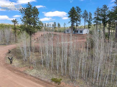 Tiny photo for 100 Wolverine Drive, Florissant, CO 80816 (MLS # 7634996)