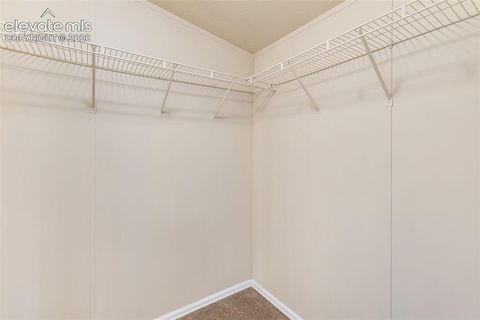 Tiny photo for 100 Wolverine Drive, Florissant, CO 80816 (MLS # 7634996)