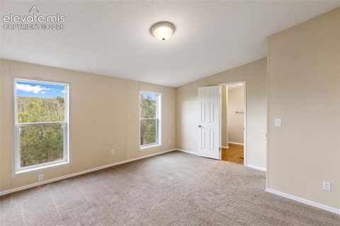 Tiny photo for 100 Wolverine Drive, Florissant, CO 80816 (MLS # 7634996)