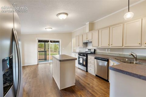 Tiny photo for 100 Wolverine Drive, Florissant, CO 80816 (MLS # 7634996)