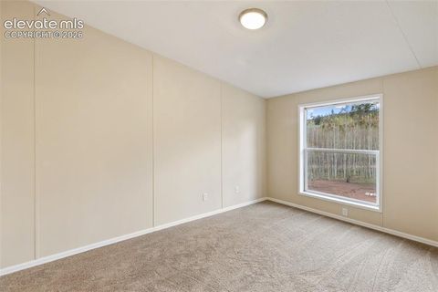 Tiny photo for 100 Wolverine Drive, Florissant, CO 80816 (MLS # 7634996)