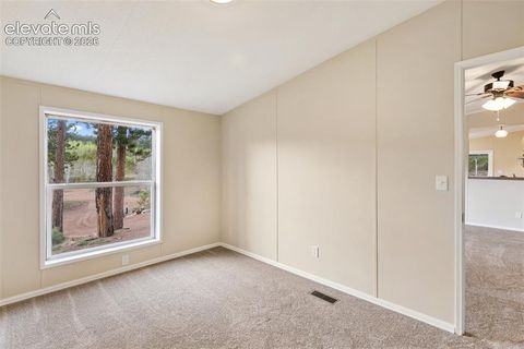 Tiny photo for 100 Wolverine Drive, Florissant, CO 80816 (MLS # 7634996)