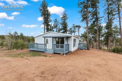 Tiny photo for 100 Wolverine Drive, Florissant, CO 80816 (MLS # 7634996)