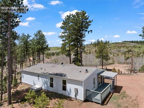 Tiny photo for 100 Wolverine Drive, Florissant, CO 80816 (MLS # 7634996)