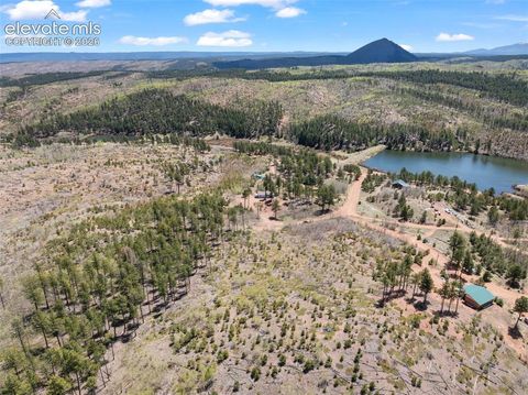 Tiny photo for 100 Wolverine Drive, Florissant, CO 80816 (MLS # 7634996)