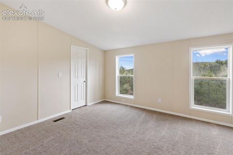 Tiny photo for 100 Wolverine Drive, Florissant, CO 80816 (MLS # 7634996)
