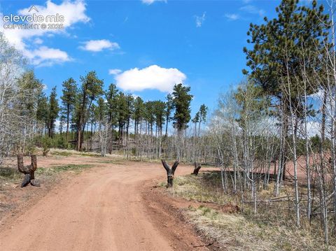 Tiny photo for 100 Wolverine Drive, Florissant, CO 80816 (MLS # 7634996)
