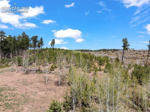 Tiny photo for 100 Wolverine Drive, Florissant, CO 80816 (MLS # 7634996)