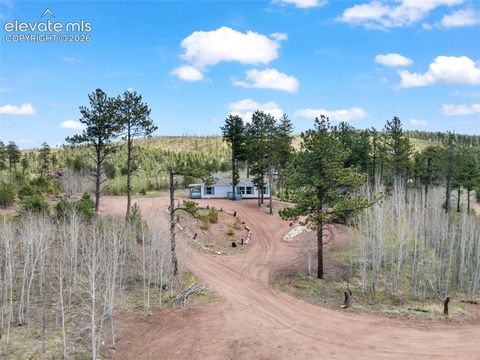 Photo of 100 Wolverine Drive, Florissant, CO 80816 (MLS # 7634996)