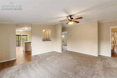 Tiny photo for 100 Wolverine Drive, Florissant, CO 80816 (MLS # 7634996)