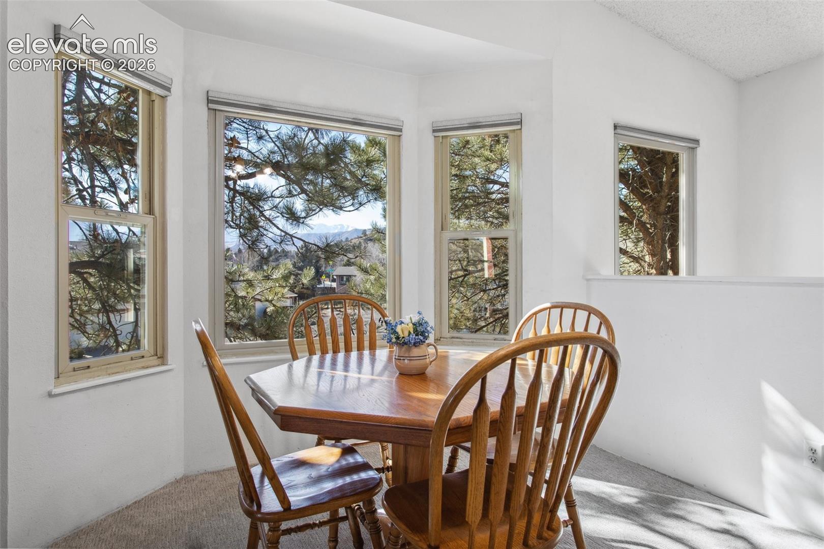 432 W Rockrimmon Boulevard B