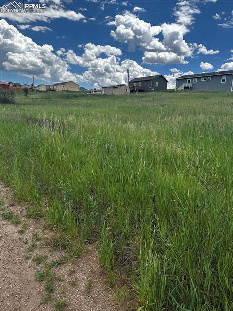 Photo of 1298 Will Scarlet Drive, Divide, CO 80814 (MLS # 1951380)