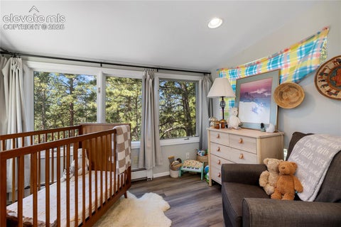 Tiny photo for 1150 Forest Hill Place, Woodland Park, CO 80863 (MLS # 6656989)