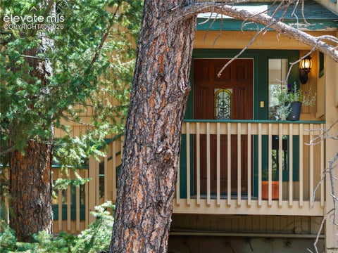Tiny photo for 1150 Forest Hill Place, Woodland Park, CO 80863 (MLS # 6656989)
