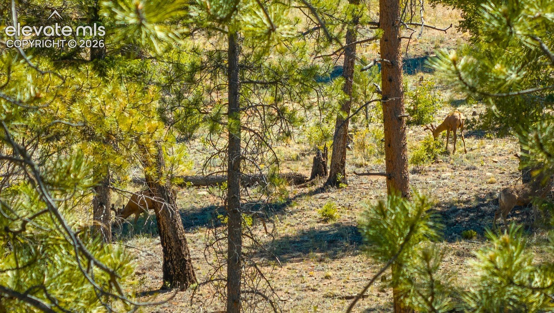 146 Toms Ranch Road