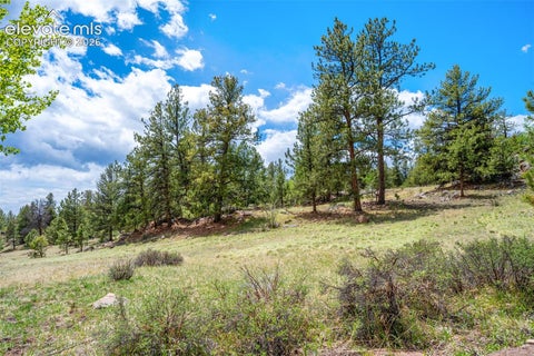 Photo of 527 Plateau Drive, Guffey, CO 80820 (MLS # 2454157)