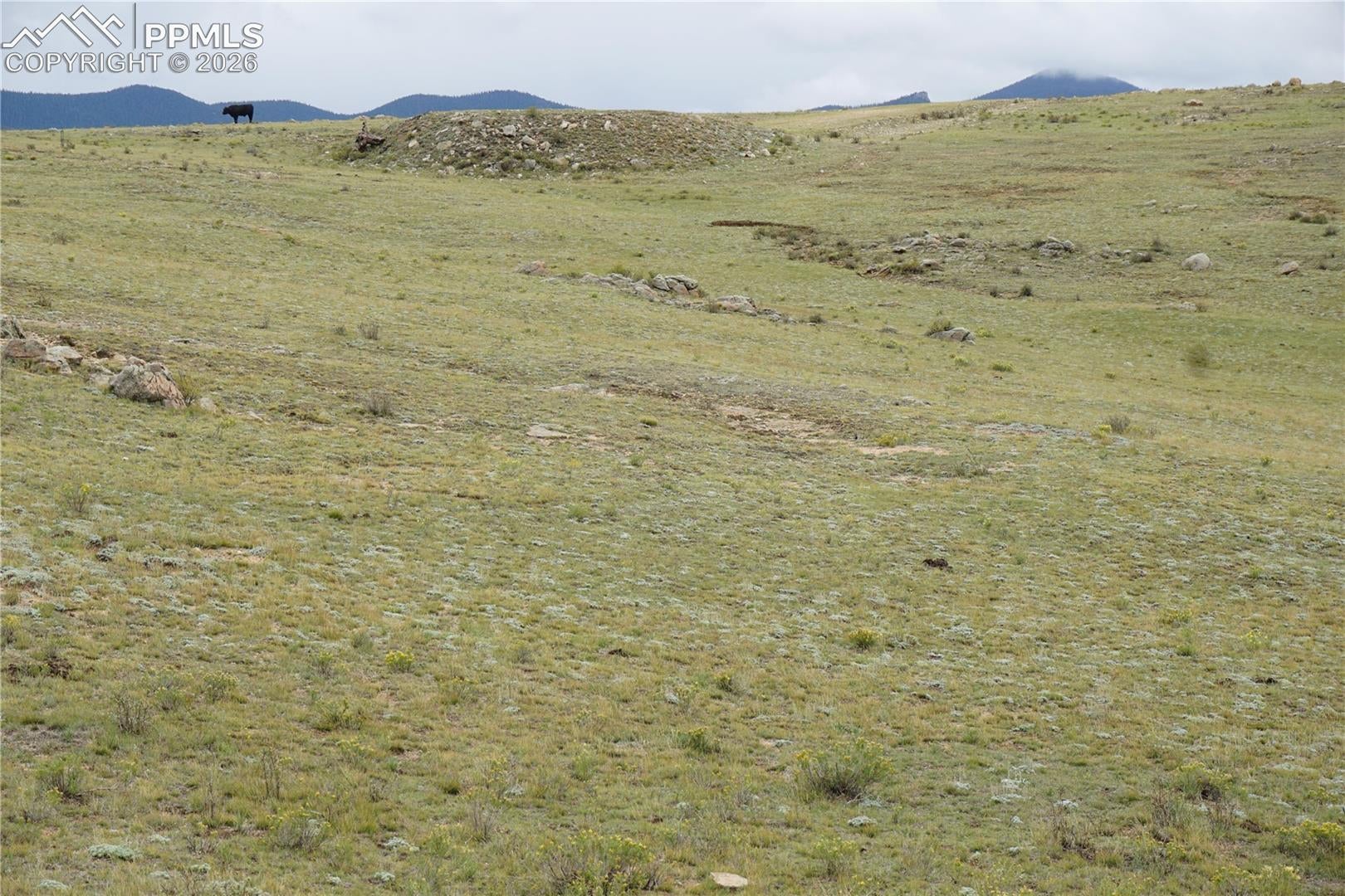 LOT 16 High Drive