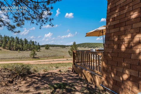 Tiny photo for 301 Circle Drive, Florissant, CO 80816 (MLS # 8275369)