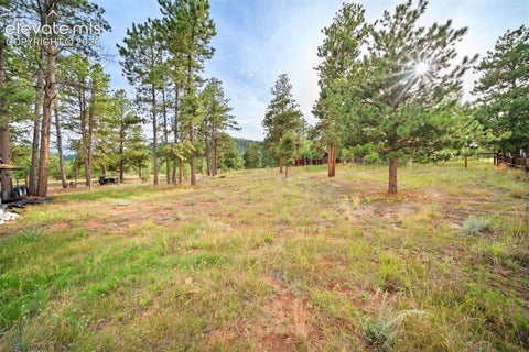 Tiny photo for 1869 County Road 21, Woodland Park, CO 80863 (MLS # 1237275)