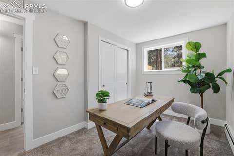 Tiny photo for 307 S Evergreen Street, Woodland Park, CO 80863 (MLS # 7545747)