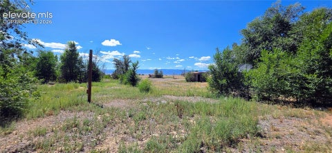 Tiny photo for 828 3rd Street, Penrose, CO 81240 (MLS # 3202523)