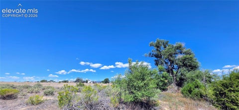 Tiny photo for 828 3rd Street, Penrose, CO 81240 (MLS # 3202523)