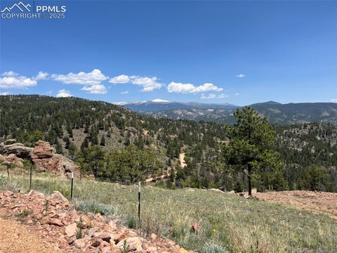 Photo of 160 Chateau West Drive, Florissant, CO 80816 (MLS # 4012944)