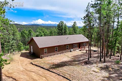 Photo of 858 Fossil Creek Road, Florissant, CO 80816 (MLS # 4891967)