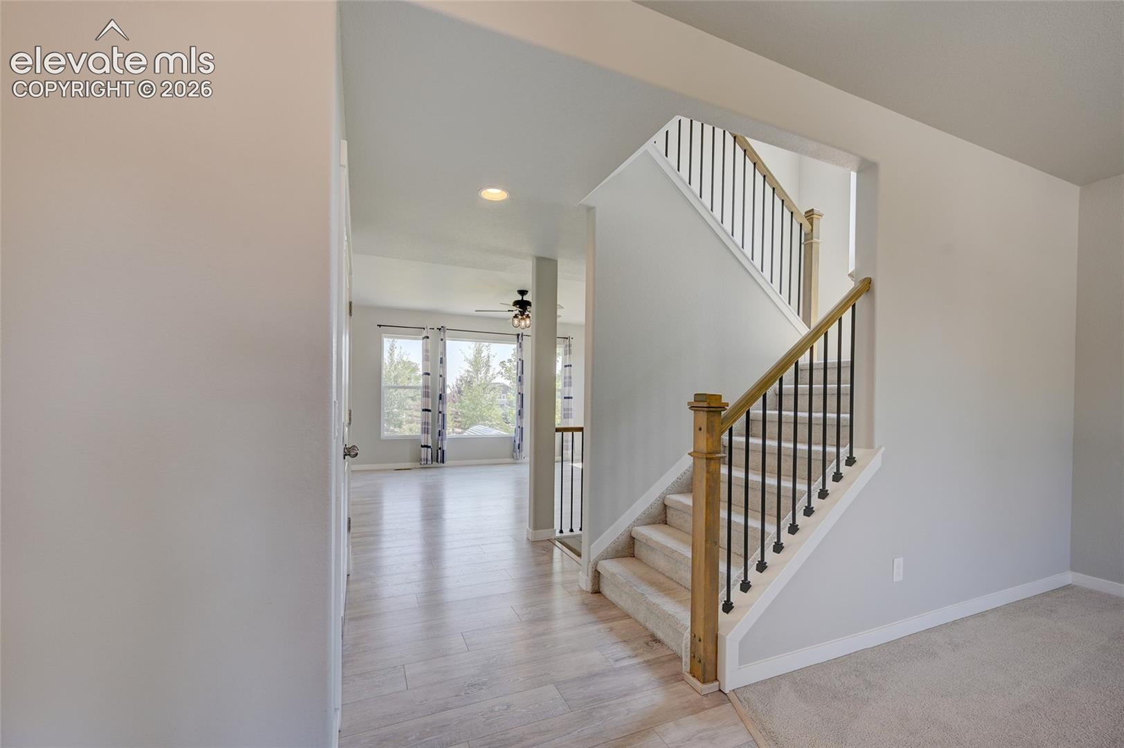 1955 Ruffino Drive