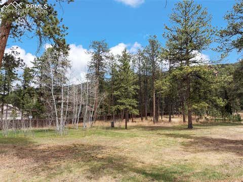 Tiny photo for 1100 Rampart Range Road, Woodland Park, CO 80863 (MLS # 7403928)