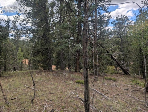 Photo of 2455 Yorktown Road, Cripple Creek, CO 80813 (MLS # 5998442)