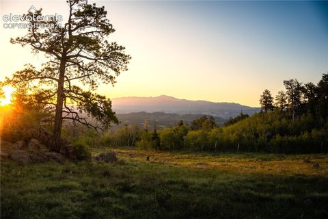 Photo of 404 Valley Drive, Florissant, CO 80816 (MLS # 6353356)
